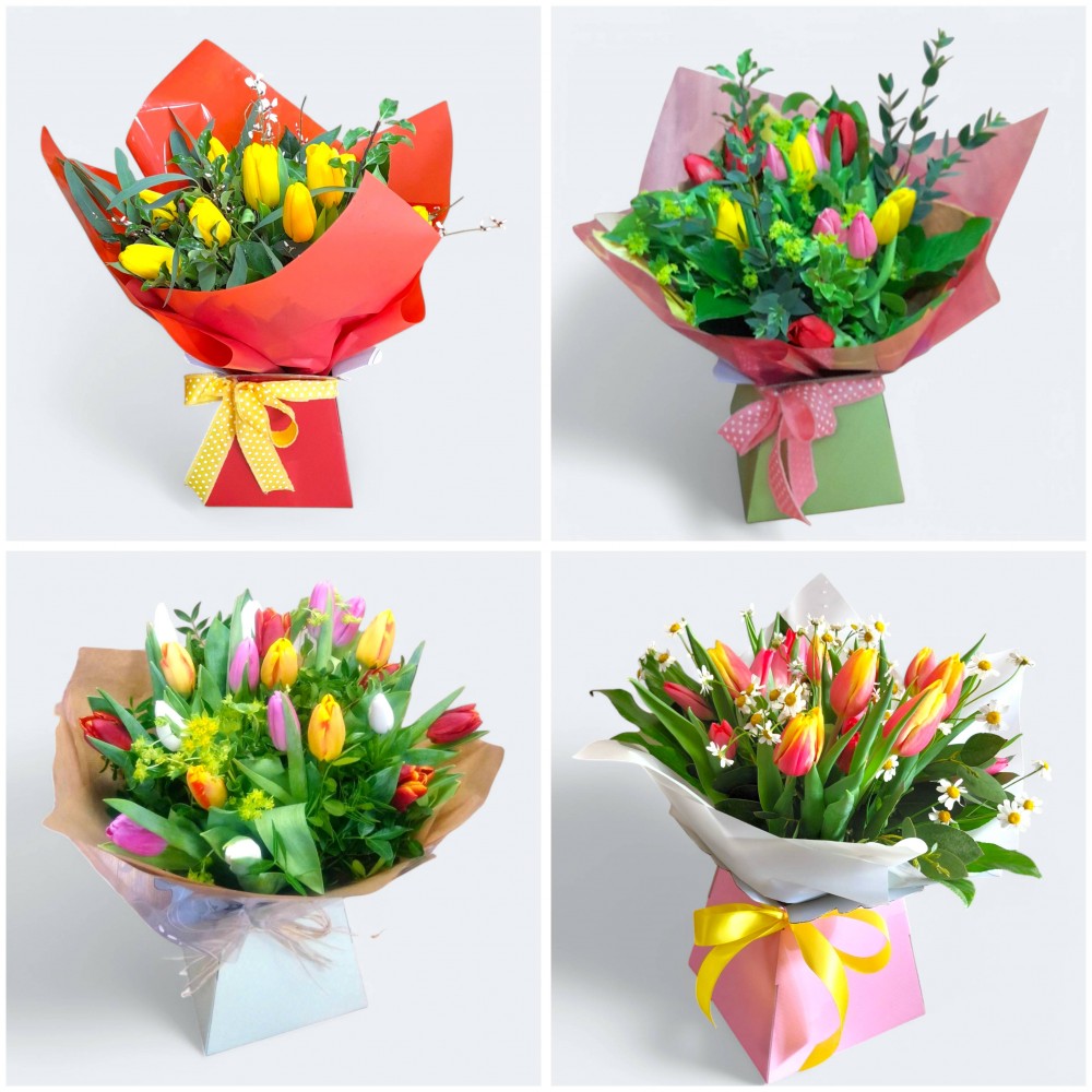 Spring Tulips