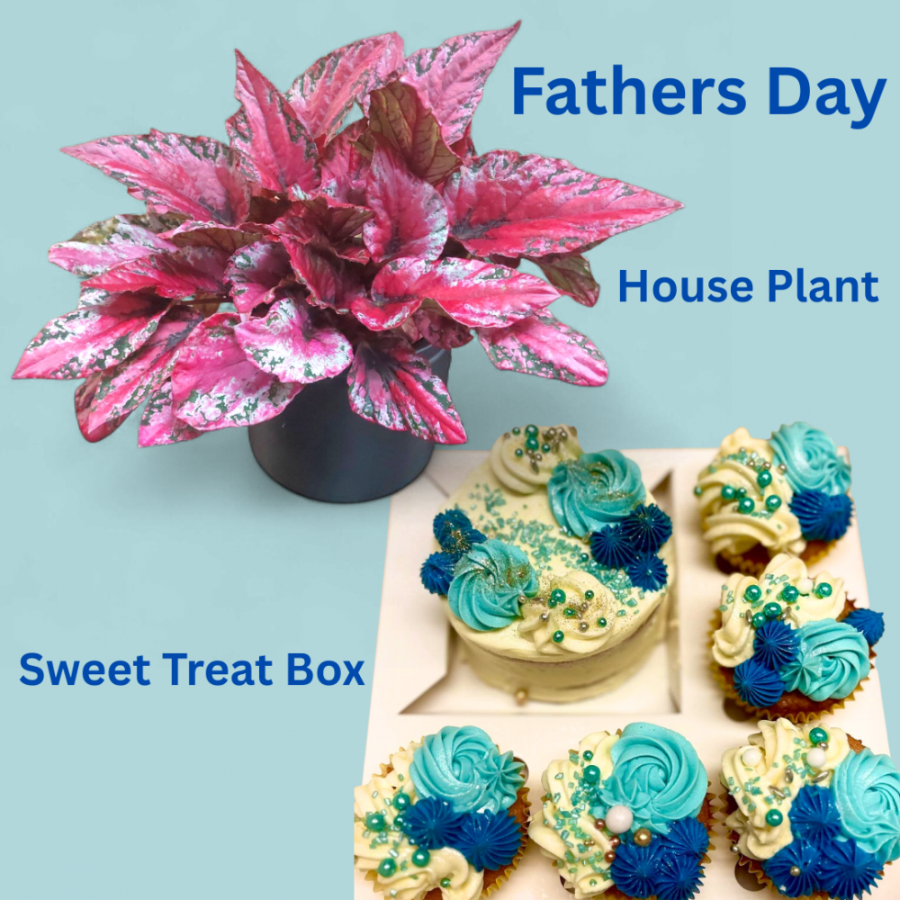 Fathers Day Plant Set